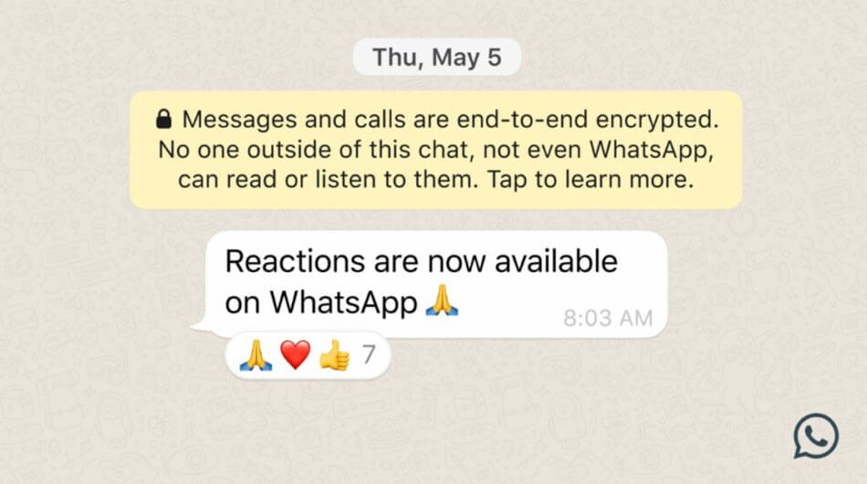 How to Use Message Reactions on WhatsApp
