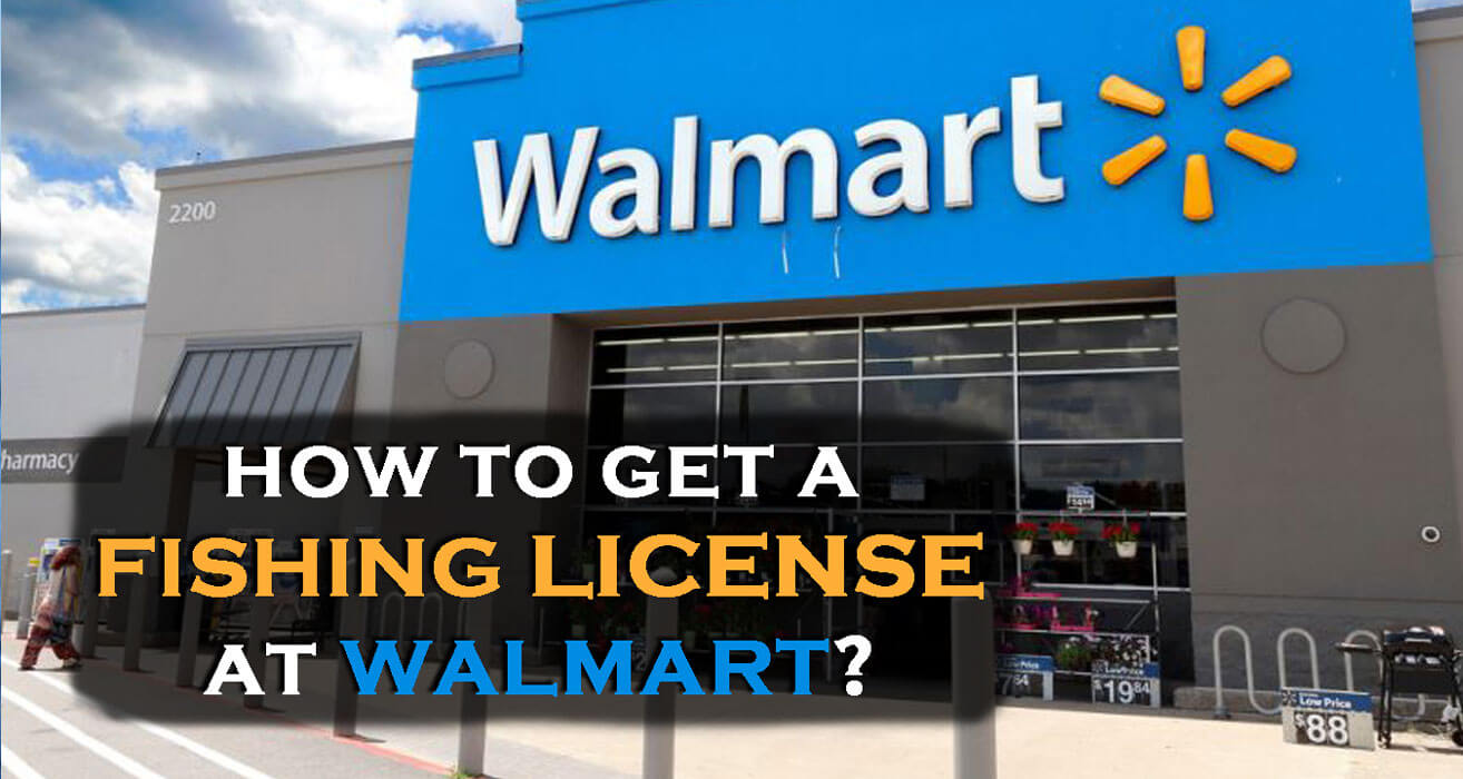 Get Walmart Fishing License Online: Its Cost & Need (2023)