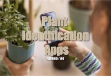 Plant Identification Apps for andorid and ios