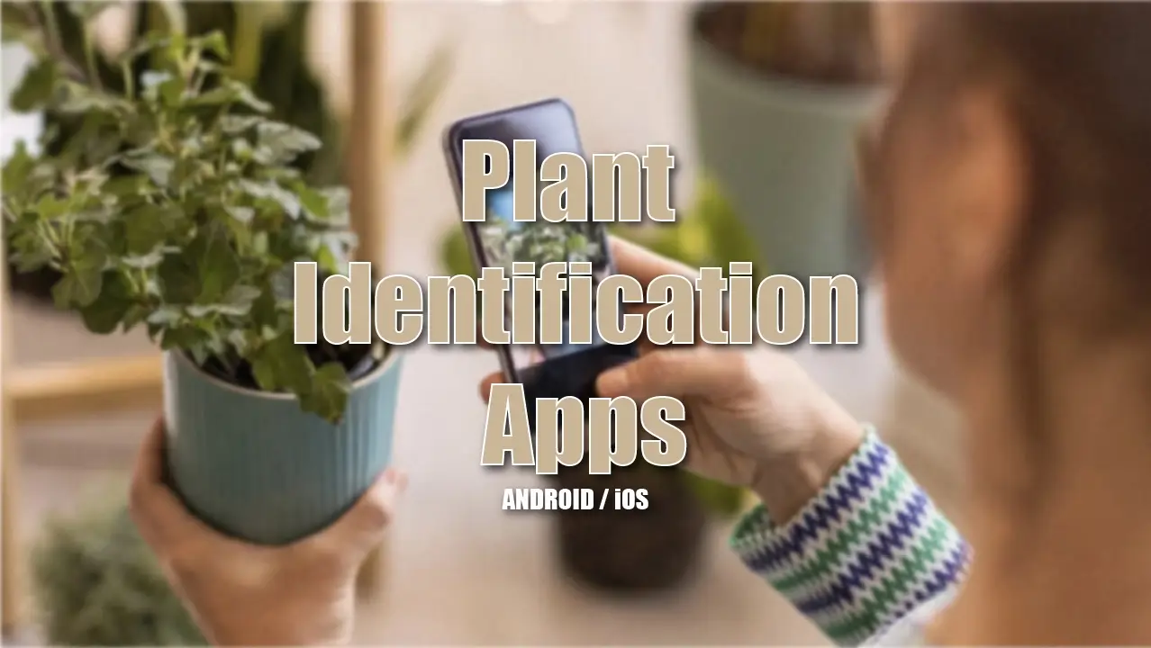10 Best Plant Identification Apps – Android / iOS (2023)