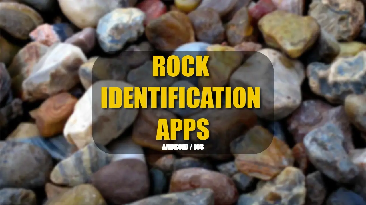 6 Best Rock Identification Apps For Android and iOS (2023)