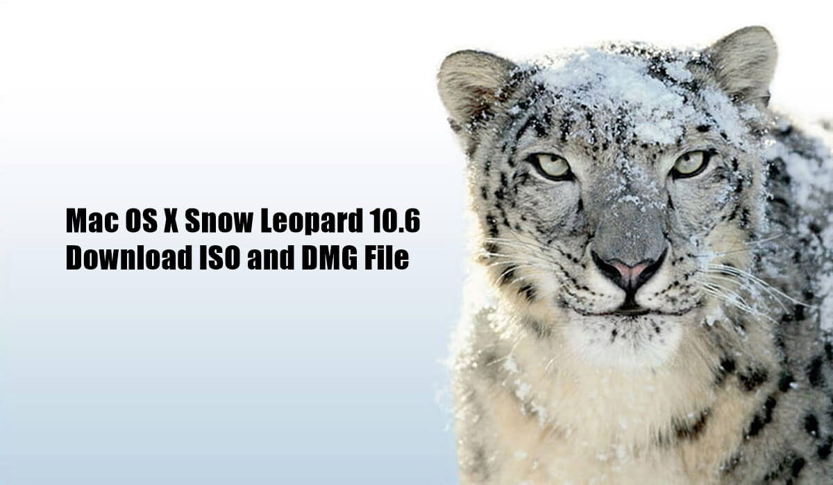 Mac OS X Snow Leopard 10.6 Download ISO and DMG File