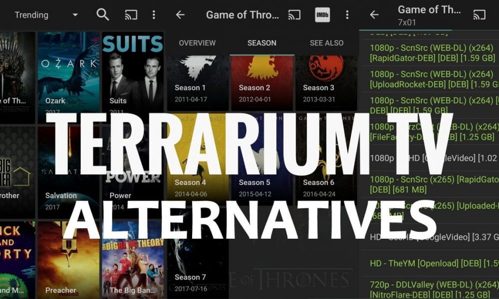 Best Terrarium TV Alternatives